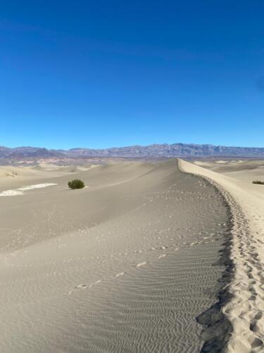 Death Valley (Meghna Bhatter)