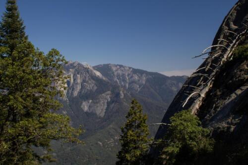 Sequoia National Park (Sophie Sun)